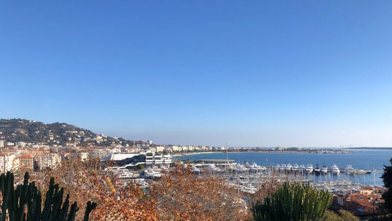 Billede af Cannes havn taget oppe fra den gamle bydel